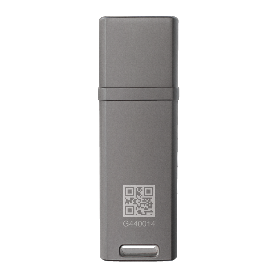 Datalocker USB Stick DL GO