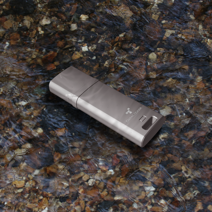 Datalocker USB Stick DL GO